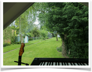 My Garden